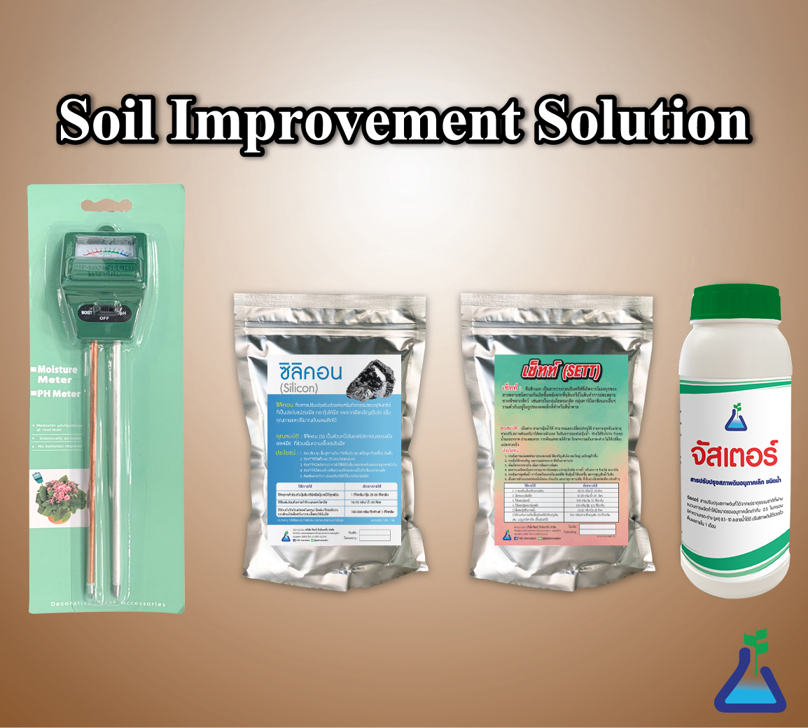 Soil Improvement Solution
