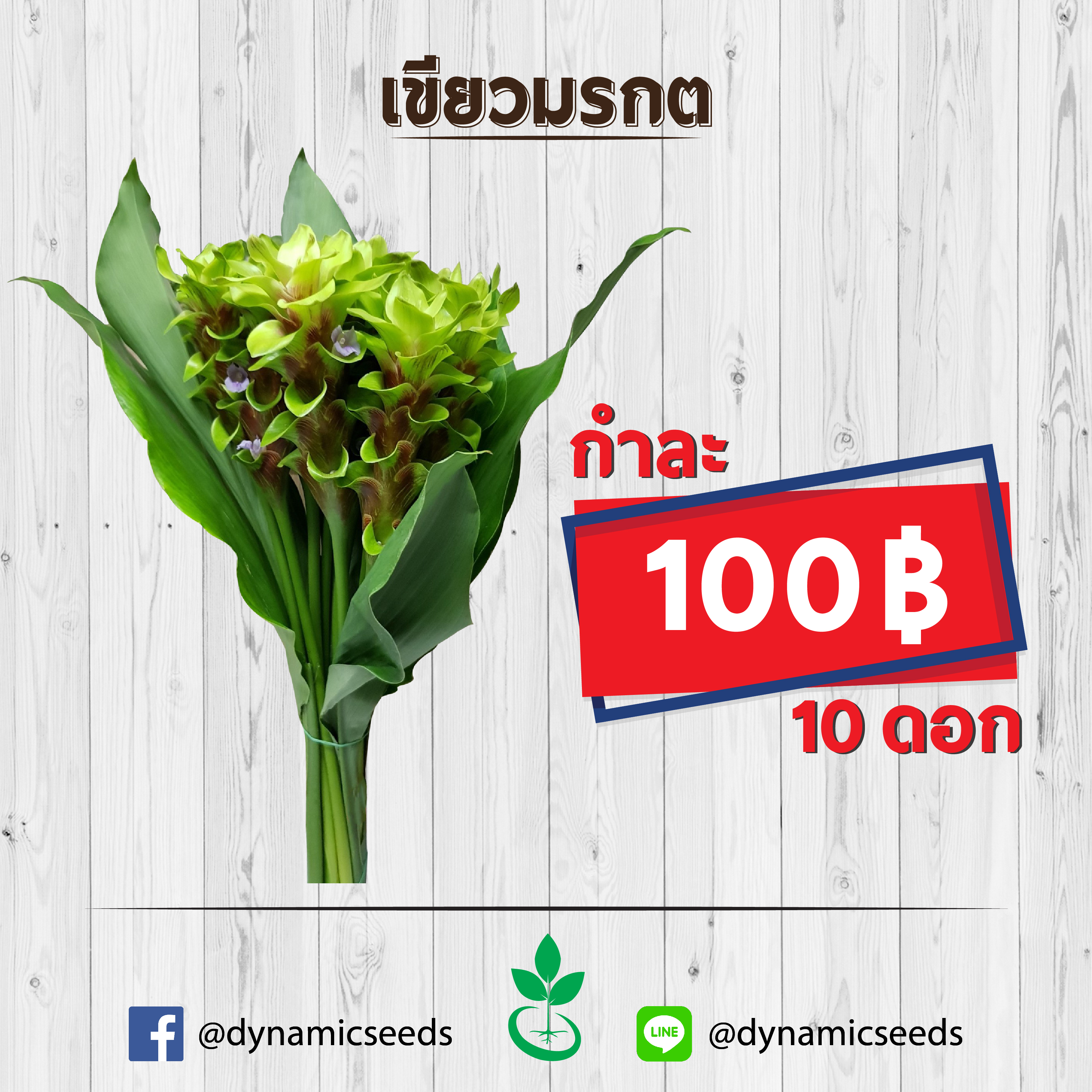 เขียวมรกต 1 กำ (10ดอก)