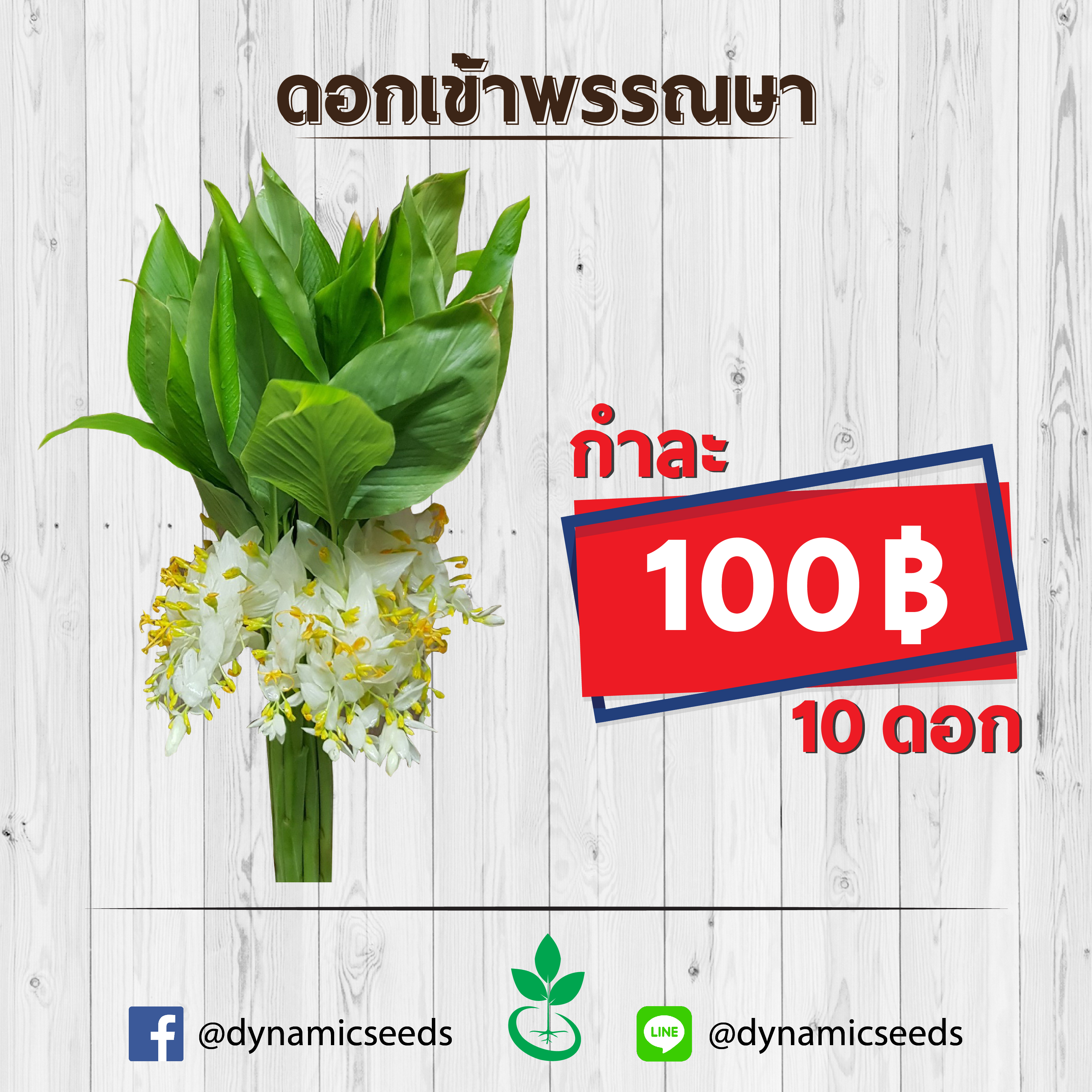 ดอกเข้าพรรณษา 1 กำ (10ดอก)