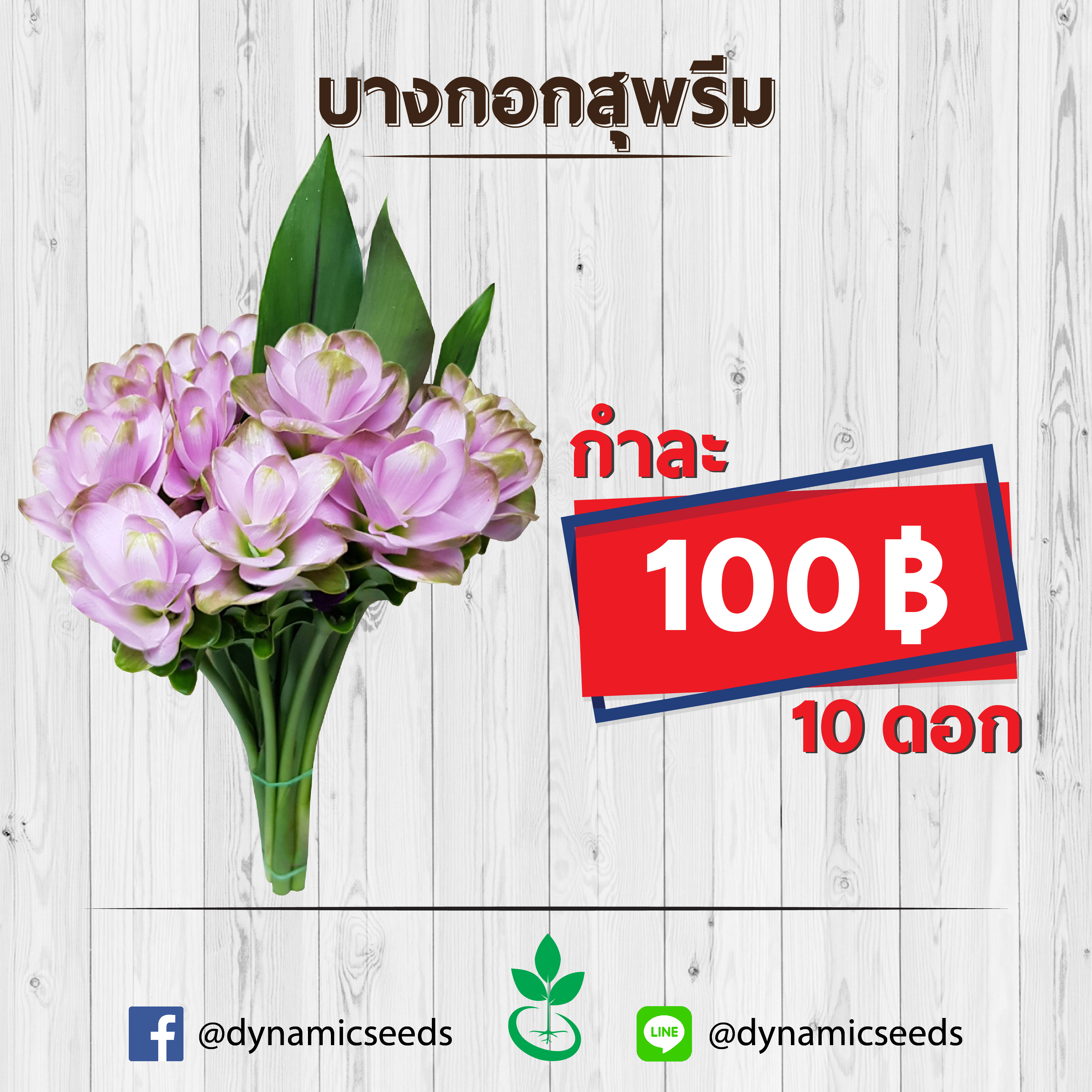 บางกอกสุพรีม 1 กำ (10ดอก)