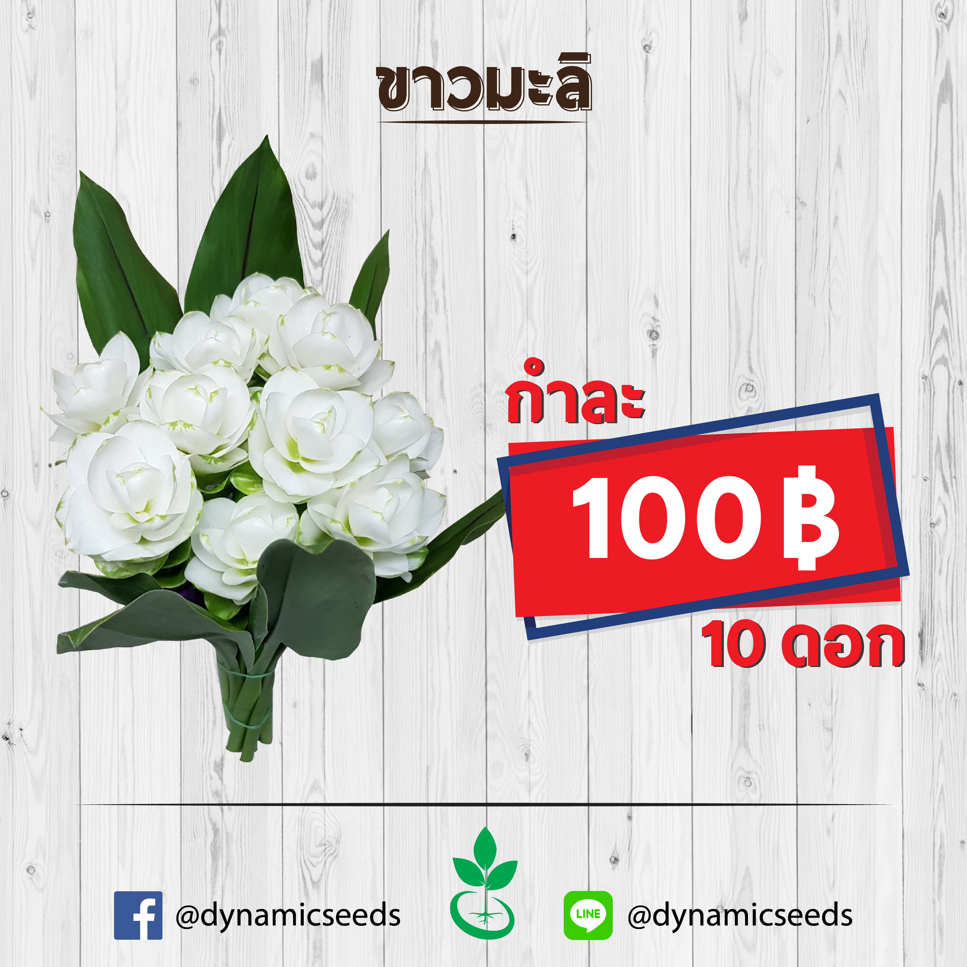 ขาวมะลิ 1 กำ (10ดอก)